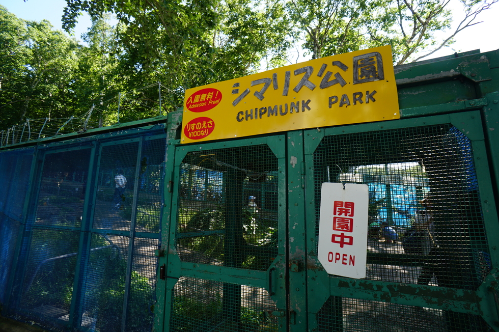 小樽天狗山のシマリス公園