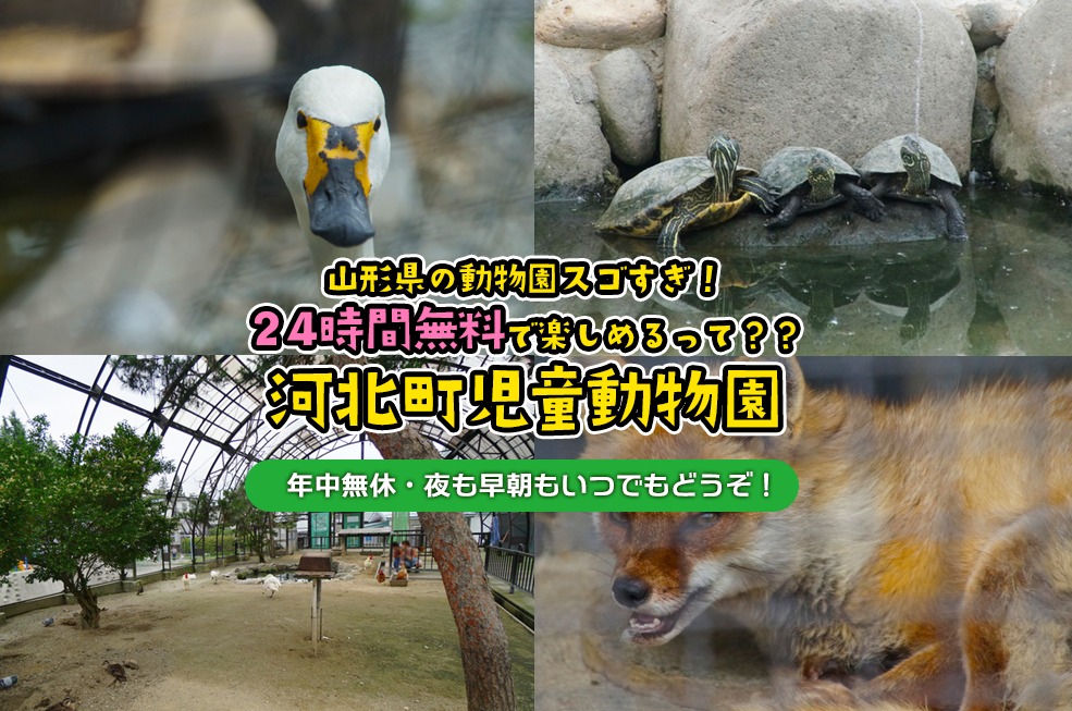山形県の動物園スゴすぎ！24時間無料で楽しめる河北町児童動物園