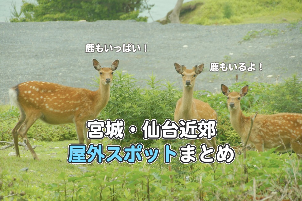 仙台 宮城近郊の屋外で遊べる リフレッシュできるスポット ねずほり 仙台 夫婦で楽しむお出かけブログ