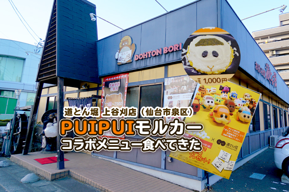 【道とん堀 仙台泉区】プイプイ モルカーコラボメニュー食べてきた！ついでにモルモット紹介もするよ